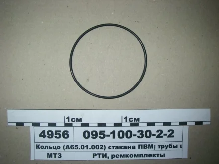 Кільце ГОСТ 18829-73 (ГОСТ 9833-73) (вир-во Рось-Гума) Рось Гума 095-100-30-2-2