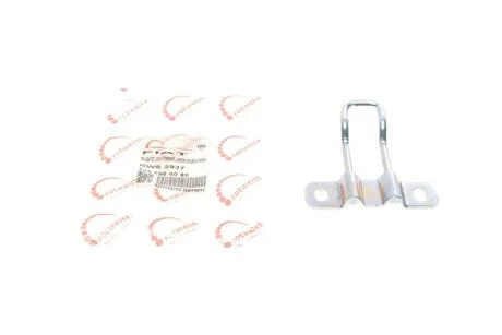 Петля двери (задней/нижняя) Citroen Nemo/Fiat Fiorino 07- ROTWEISS 1357264080
