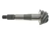 Головна пара в міст Nissan Navara (37x8) ROTWEISS 38100F5680 (фото 2)