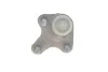 Опора шаровая (передняя/снизу/L) Audi A3/Skoda Octavia III/VW Caddy IV/Golf VII 12- (внутри OE VAG) ROTWEISS 5Q0407365A (фото 2)