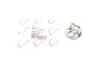 Петля двери (передней) Renault Laguna II/Megane II 01-08 ROTWEISS 8200765143 (фото 1)