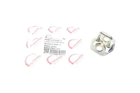 Петля двери (передней) Renault Laguna II/Megane II 01-08 ROTWEISS 8200765143