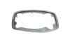 Ручка двери (передней) (L) Citroen Jumper/Fiat Ducato/Peugeot Boxer 06- ROTWEISS 9101.CY (фото 10)