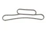 Прокладка радиатора масляного Ford Transit 2.2-2.4TDCi 06- (к-кт) ROTWEISS RWS1805 (фото 3)
