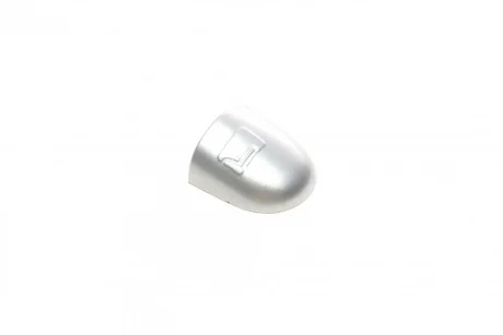 Заглушка ручки двери (R) Renault Laguna/Megane/Scenic 03-09 (серая) ROTWEISS RWS1969