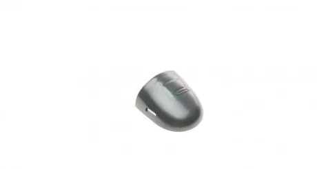 Заглушка ручки двери (L) Renault Laguna/Megane/Scenic 03-09 (черная) ROTWEISS RWS1970