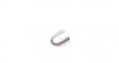 Заглушка ручки двери (L) Renault Laguna/Megane/Scenic 03-09 (серая) ROTWEISS RWS1971