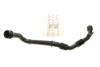 Патрубок интеркулера Renault Kangoo 1.5dCi 08- ROTWEISS RWS2444 (фото 1)