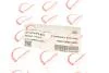 Патрубок интеркулера Ford Transit TT9 2.2TDCI 06- ROTWEISS RWS2547 (фото 2)