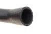 Патрубок интеркулера Ford Connect 1.8TDCi 06-13 ROTWEISS RWS2576 (фото 3)
