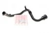 Патрубок інтеркулера Renault Fluence/ Scenic III/Megane III 1.5dCi 09- ROTWEISS RWS2694 (фото 1)