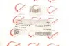 Патрубок интеркулера BMW 3 (E90) 05-11 M57 ROTWEISS RWS2703 (фото 5)