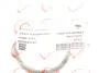 Прокладка коллектора впускного Renault Kangoo/Laguna II/Trafic 1.4-2.0 01- ROTWEISS RWS2845 (фото 2)