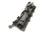 Крышка клапанов Renault Kangoo 1.5dCi 08- ROTWEISS RWS3021 (фото 5)