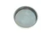 Заглушка блока цилиндров (d=36mm) ROTWEISS RWS3600 (фото 1)