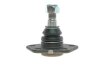 Опора шаровая (передняя/снизу) Citroen Jumper/Fiat Ducato/Peugeot Boxer (1.8t) 94- RTS 93-00582-056 (фото 3)