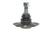 Опора кульова (передня/знизу) Citroen Jumper/Fiat Ducato/Peugeot Boxer (1.8t) 94- RTS 93-00582-056 (фото 3)