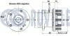 SUBARU Підшипник маточини зад. Legcy, Impreza, Outback, 08-. RUVILLE 221353 (фото 2)