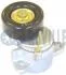 OPEL Натяжитель с роликом Astra, Vectra-B, Omega-B 2.4 RUVILLE 541860 (фото 1)