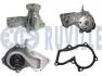 FORD Помпа воды Fiesta V, VI, Focus II, Fusion, Kuga II, Mondeo IV, B-Max, C-Max, Transit Connect 1.25/2.0 02- RUVILLE 561422A (фото 1)