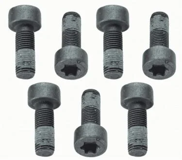 Болт з шестигранною головкою SACHS 1874000040