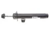 Амортизатор (передній) BMW X1 (E84) 09-15 (L) SACHS 317 554 (фото 1)