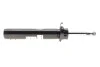 Амортизатор (передний) BMW 5 (E60/E61) 05-10 (R) SACHS 317563 (фото 5)