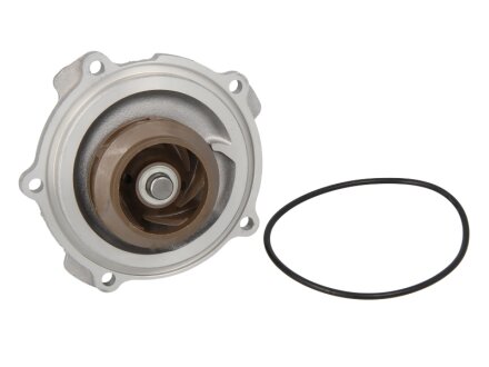 Водяна помпа SALERI SIL PA 828