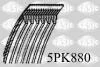 Ремень поликлиновый SASIC 5PK880 (фото 1)