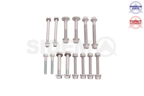 Болт рычага передн. оси Audi A6/7 (полный кол-кт 14 шт) SIDEM 37003