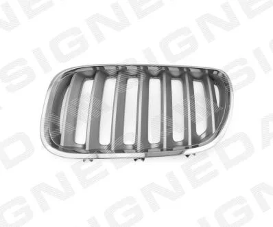 Решітка радіатора BMW X5 (E53), 04 - 06 Signeda PBM07031GBL