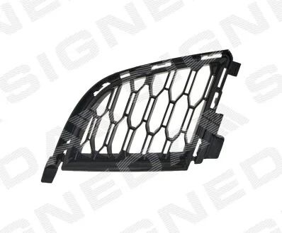 Решітка в бампер BMW 3 (G20/G21) Signeda PBM99288AR