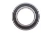 Подшипник (45x75x16) SKF 6009-2RS1 (фото 1)