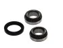 Подшипник ступицы (задней) Ford Escort 90-99/Mazda 121 96-03 (29x50.3x17.5) (к-кт) SKF VKBA 1333 (фото 1)