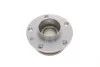 Подшипник ступицы (задней) Alfa Romeo 147 01-10/156 97-06/GT 03-10 (+ABS) SKF VKBA 3691 (фото 2)