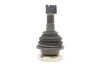 Опора кульова (передня/знизу) Nissan Navara 2.5 TD 98-01 SKF VKDS 812008 (фото 4)