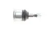 Опора кульова (передня/знизу) Honda Accord VII 2.0/2.2D/2.4 03-08 SKF VKDS 813004 (фото 4)