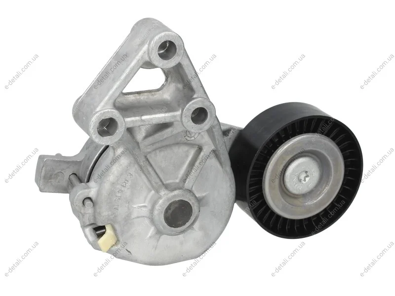 Натяжитель ремня генератора VW T5 1.9TDI 03- (70x24) SKF VKM 31019 (фото 1)