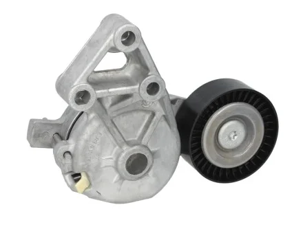 Натяжник ременя генератора VW T5 1.9TDI 03- (70x24) SKF VKM 31019