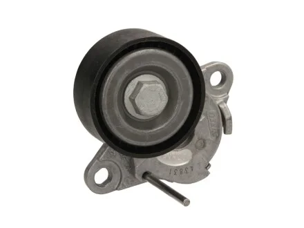 Натяжник ременя генератора VW Passat B8 1.8/2.0 TSI 15- (60x24) SKF VKM 31160