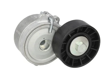 Натяжник ременя генератора Fiat Scudo/Peugeot Boxer/Partner 2.0-2.2HDI 99- (70x25) SKF VKM 33033