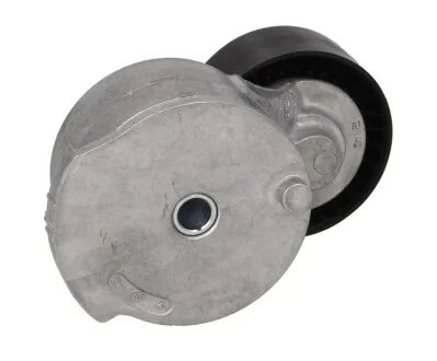Натяжник ременя генератора Ford Focus/Mondeo 2.0 TDCi 07- (65.5x25) SKF VKM 33205