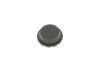 Ролик генератора BMW 3 (E36/E46)/5 (E34)/Z3/Z4 1.6-3.2 90- (паразитный) (80х25) SKF VKM 38003 (фото 3)