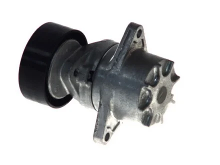Натяжитель ремня генератора MB Sprinter/Vito CDI OM611/612/646 SKF VKM 38020