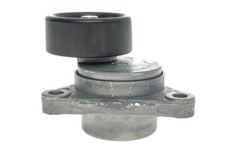 Натяжник ременя генератора Chevrolet Aveo/Lacetti 1.4-1.6 03- (76x26) SKF VKM 60014