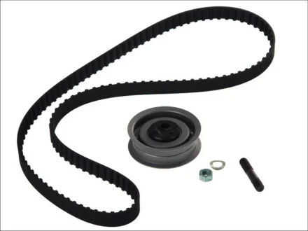 Комплект (ремень+ролики)) SKF VKMA 01002