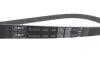 Комплект ГРМ Skoda Fabia/Octavia/VW Bora/Golf IV/Caddy 1.4/1.6 16V 97- (20x130z/17x58z) SKF VKMA 01121 (фото 5)