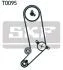 Роликовый модуль натяжителя ремня (ролик, ремень) SKF VKMA 01253 (фото 2)