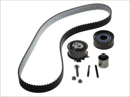 Комплект ГРМ Audi A3/A4/A6/Skoda Octavia/VW Golf V/Passat/Touran 2.0TDI 03- (30x141z) SKF VKMA 01255