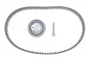 Роликовий модуль натягувача ременя (ролик, ремінь) SKF VKMA 01332